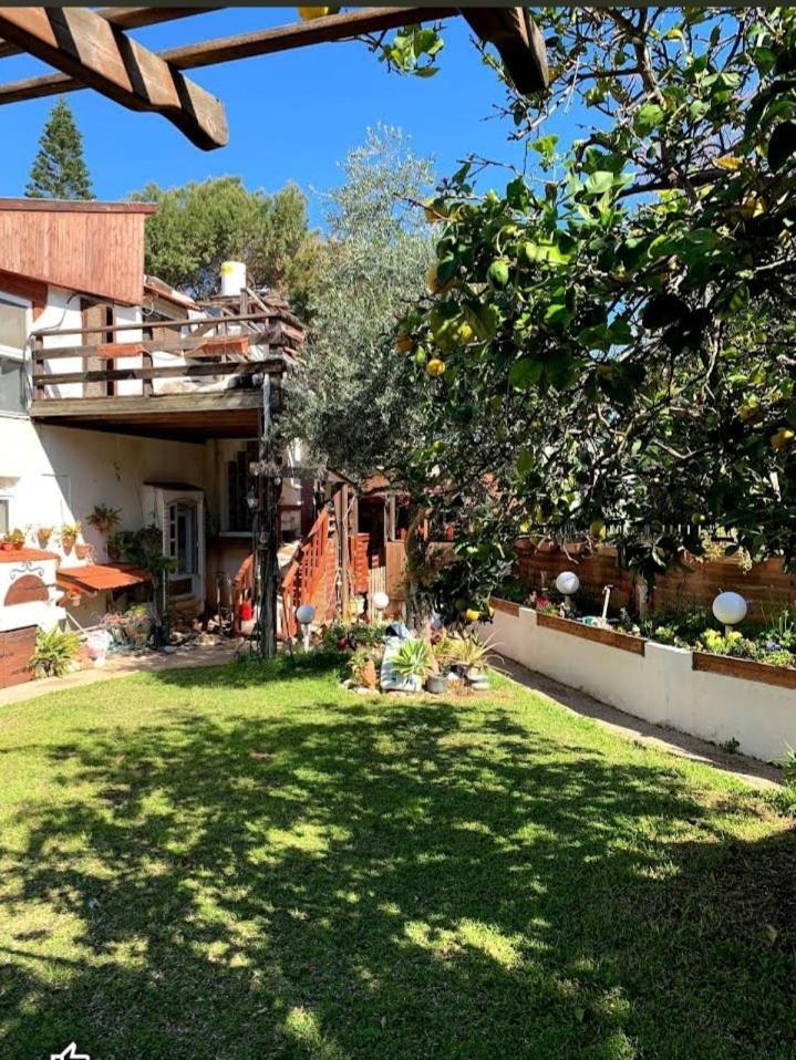 Czarina Cabin הבקתה הקיסרית והדירה הקיסרית Czarina Apartment Caesarea Eksteriør billede